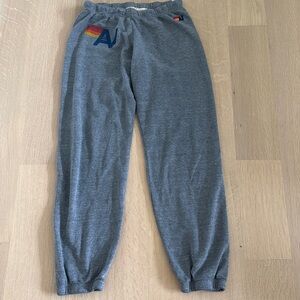 Sweatpants- Aviator Nation size Large.